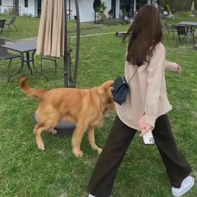 我的媳妇是女王